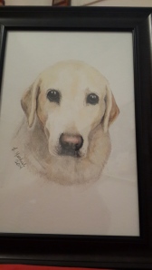 Toot the lab, already framed